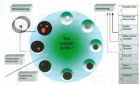 f&uuml;r bessere Qualit&auml;t bitte klicken