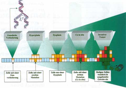 f&uuml;r bessere Qualit&auml;t bitte klicken